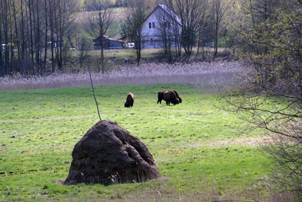 Bojarski Gosciniec Narewka Exterior foto